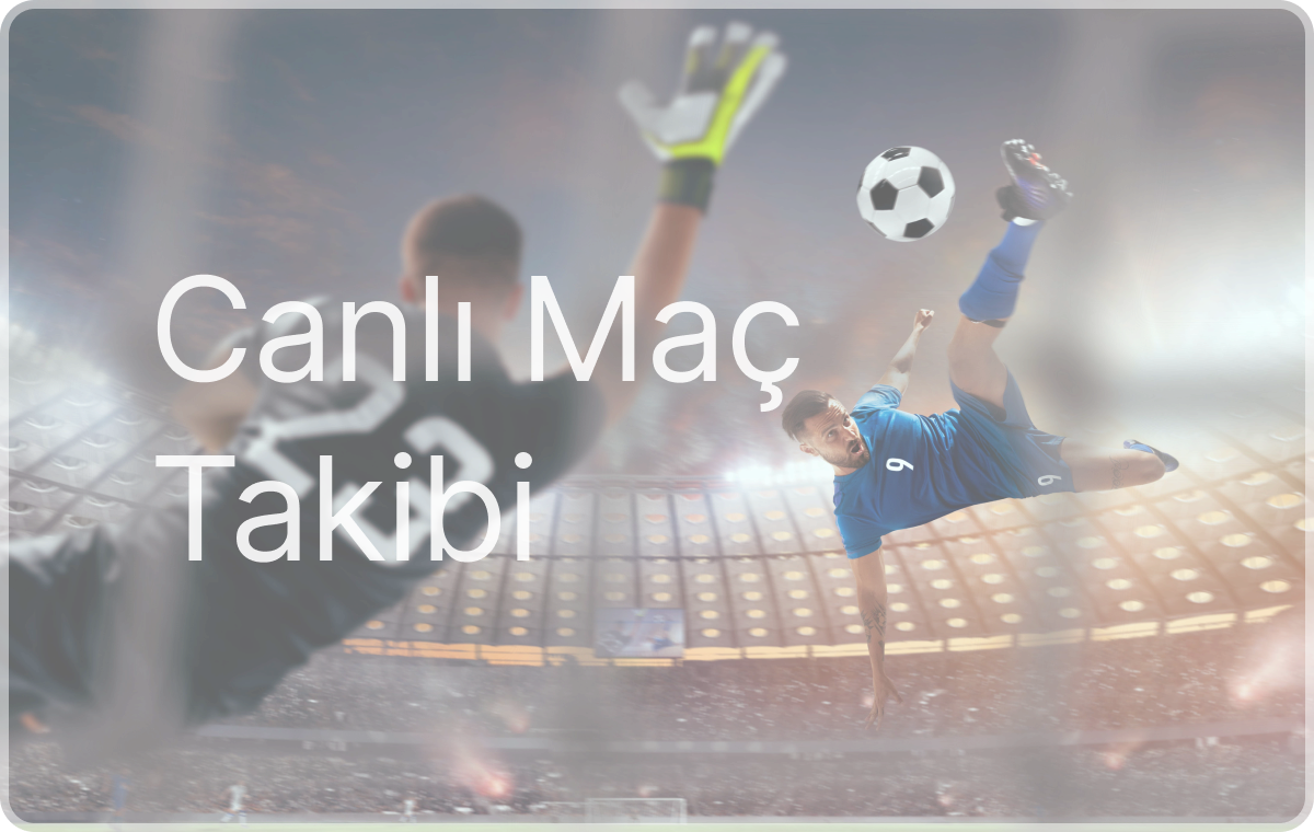 İstatistik Paneli
